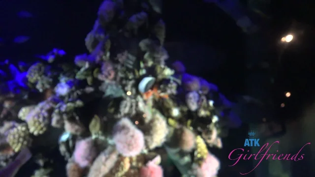 Preview of Violet Viper Aquarium 1 XXX